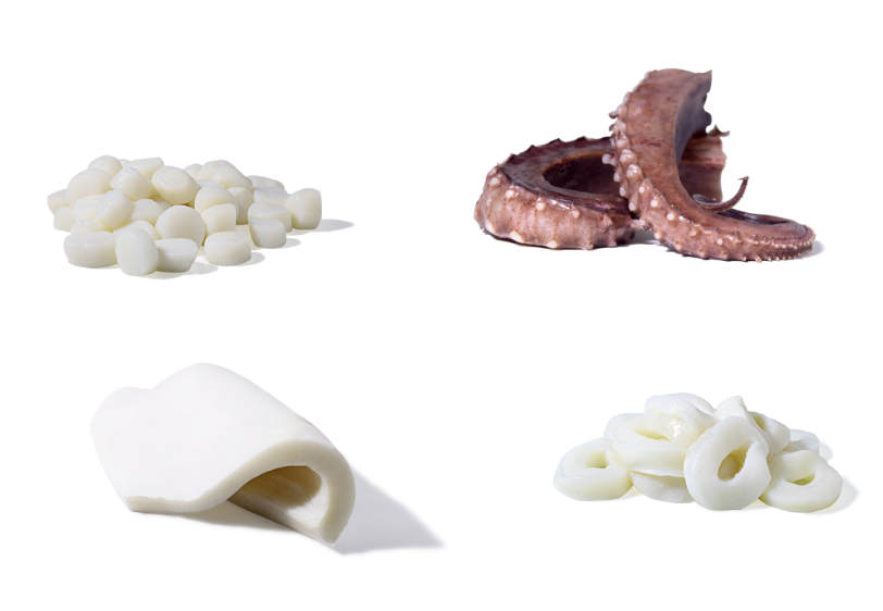 Potón peruano collage de: botones, tentáculos, manto y anillas de calamar gigante